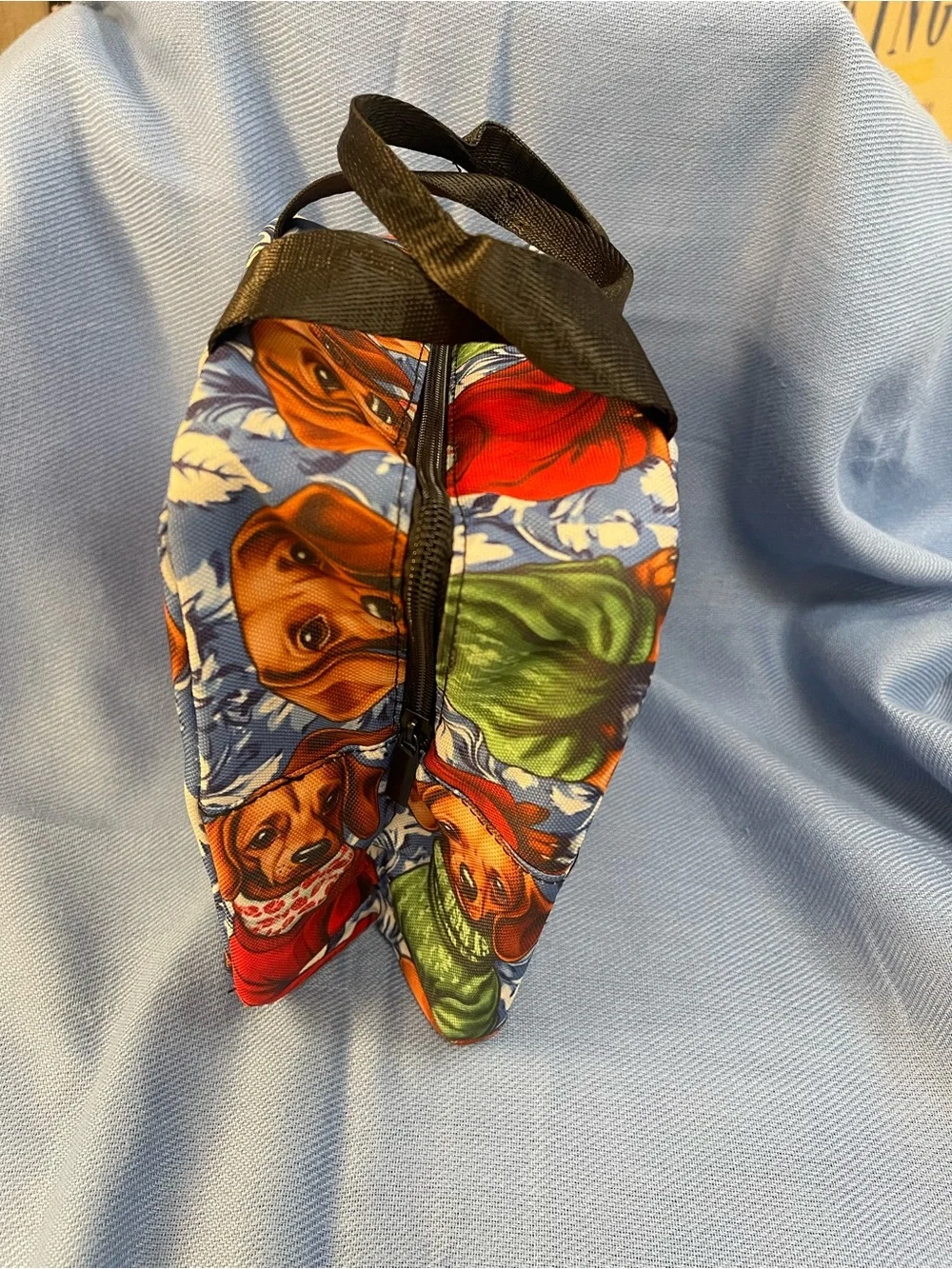 Dachshunds Small Insulated Lunch Tote